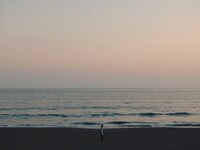 「イマジナリーライン」場面写真