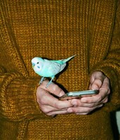 映画館のスクリーンを再利用したアパレルコレクション・SCRE:EN第3弾のプロモーションムービーを手がけた岡川太郎