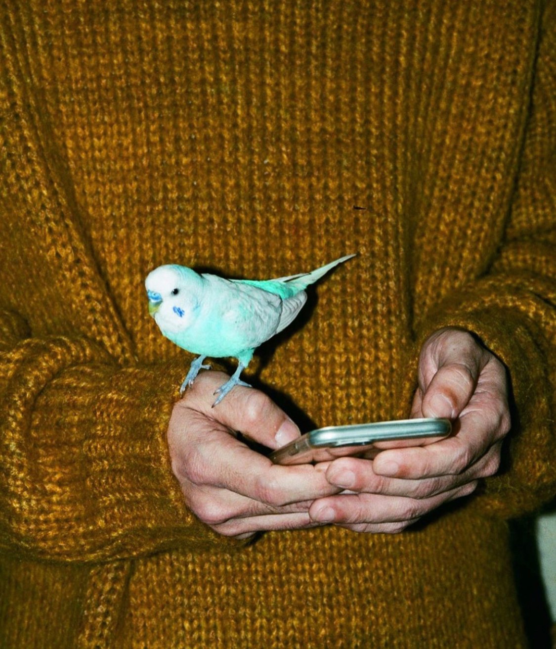 映画館のスクリーンを再利用したアパレルコレクション・SCRE:EN第3弾のプロモーションムービーを手がけた岡川太郎