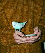 映画館のスクリーンを再利用したアパレルコレクション・SCRE:EN第3弾のプロモーションムービーを手がけた岡川太郎