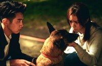 台湾映画「赤い糸 輪廻のひみつ」場面写真