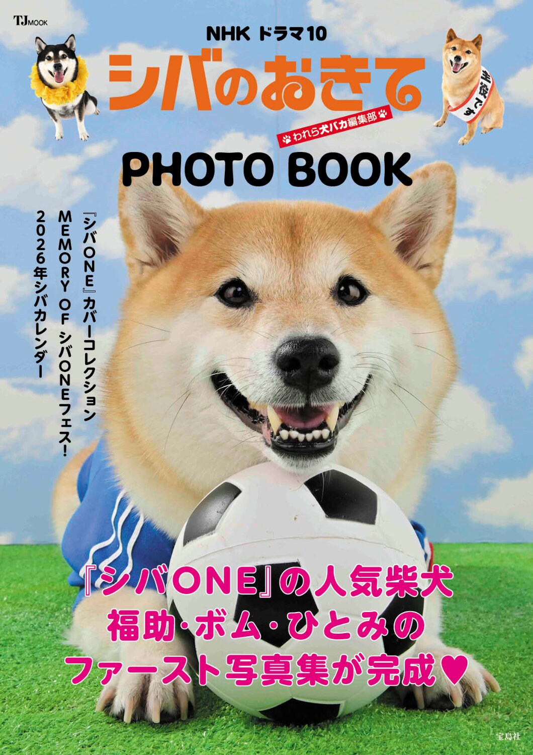 ドラマ「シバのおきて」に出演している柴犬、福助・ボム・ひとみの写真集が発売