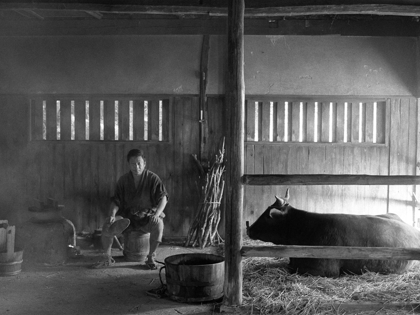 「黒の牛」場面写真