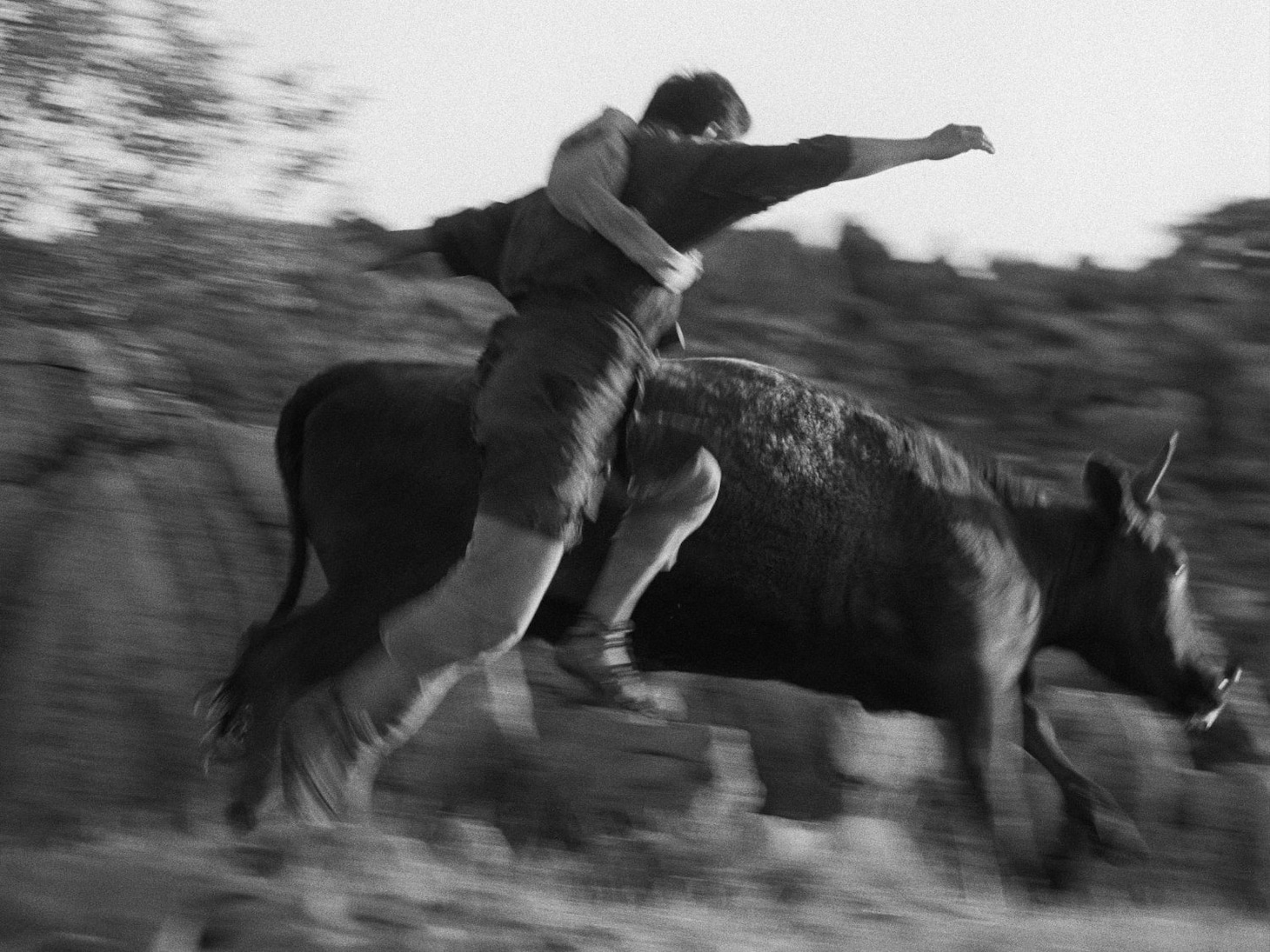 「黒の牛」場面写真