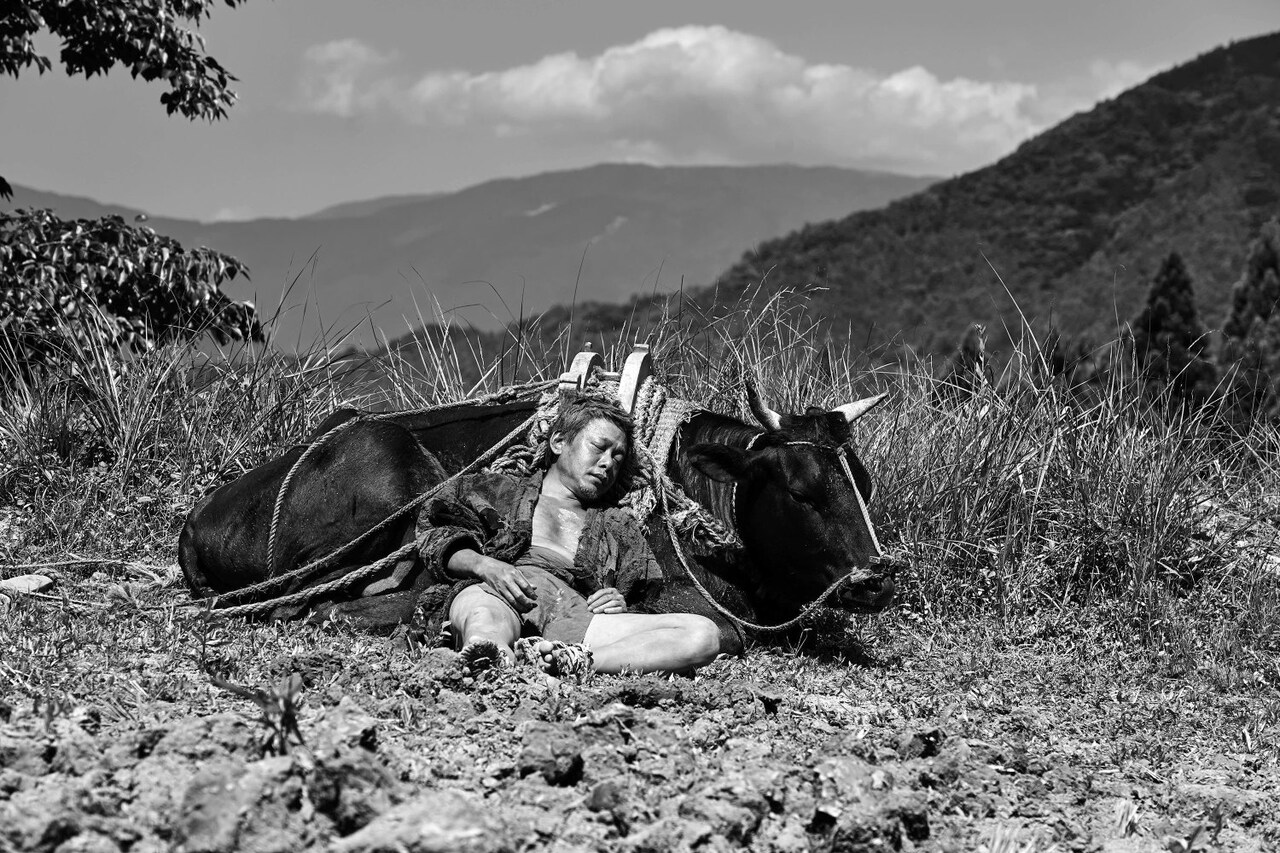 黒の牛」場面写真 - リー・カンション×田中泯×坂本龍一「黒の牛」予告