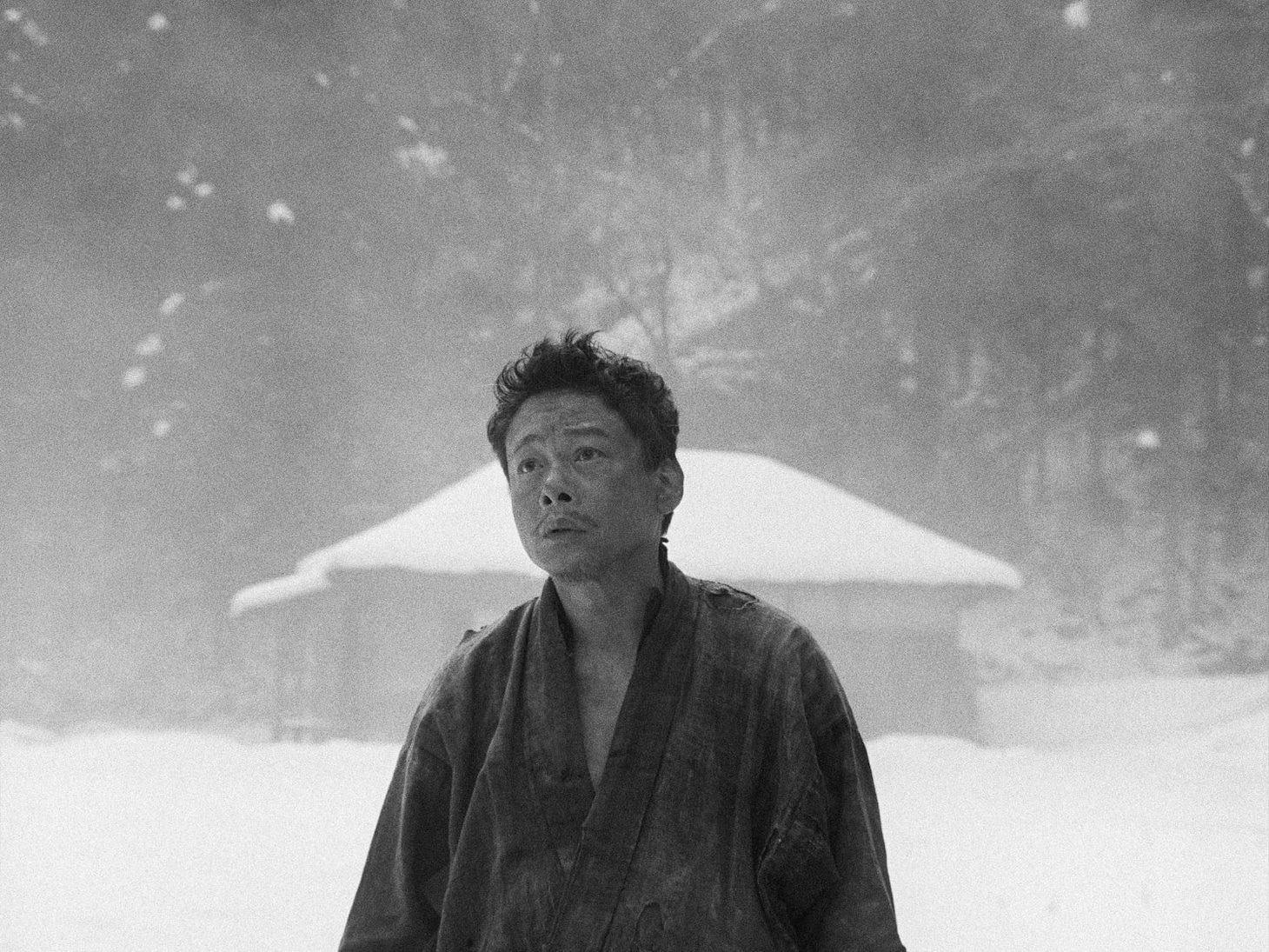 「黒の牛」場面写真