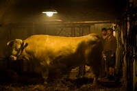 「メン＆チキン」新場面写真