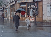 「赤い風船 4K」新場面写真 ©Copyright Films Montsouris 1956