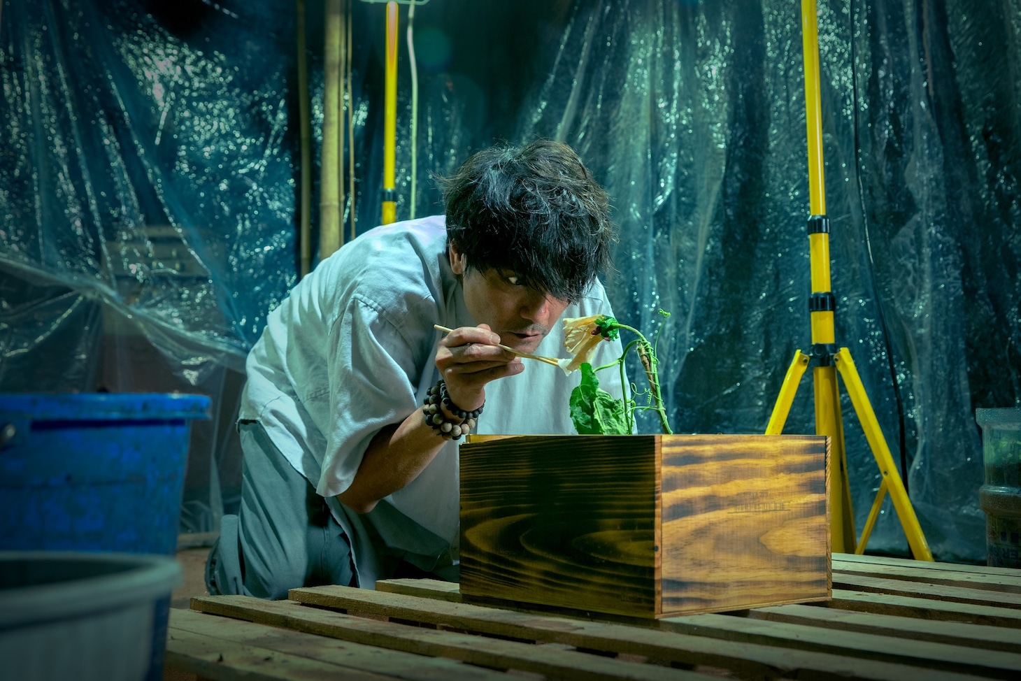 「マッド・フェイト 狂運」場面写真