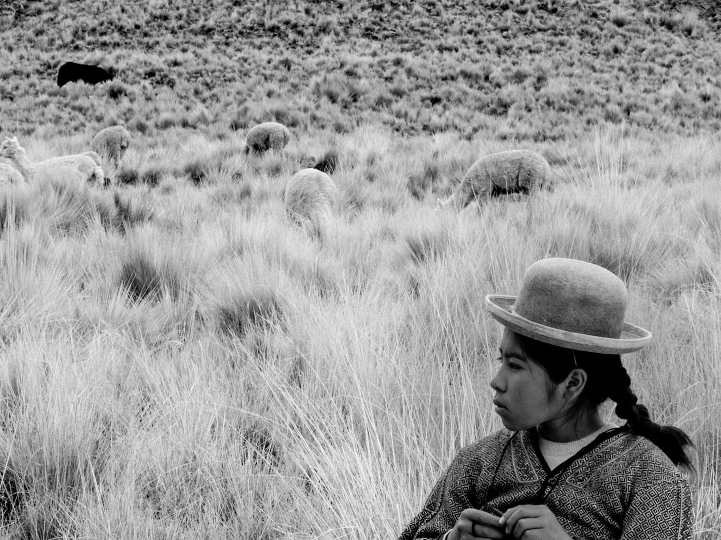 「少女はアンデスの星を見た」場面写真