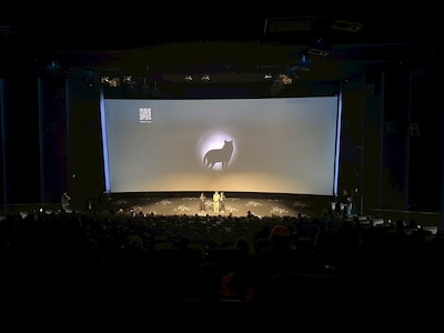 「架空の犬と嘘をつく猫」ワールドプレミアの様子