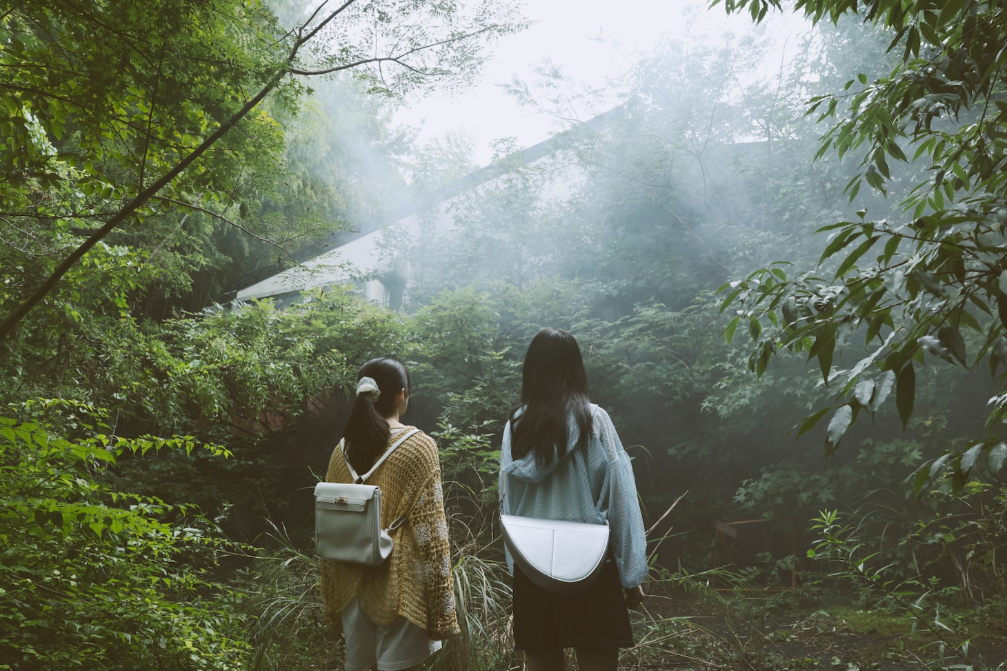 「とれ！」場面写真