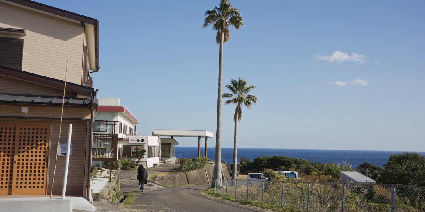 「椰子の高さ」場面写真