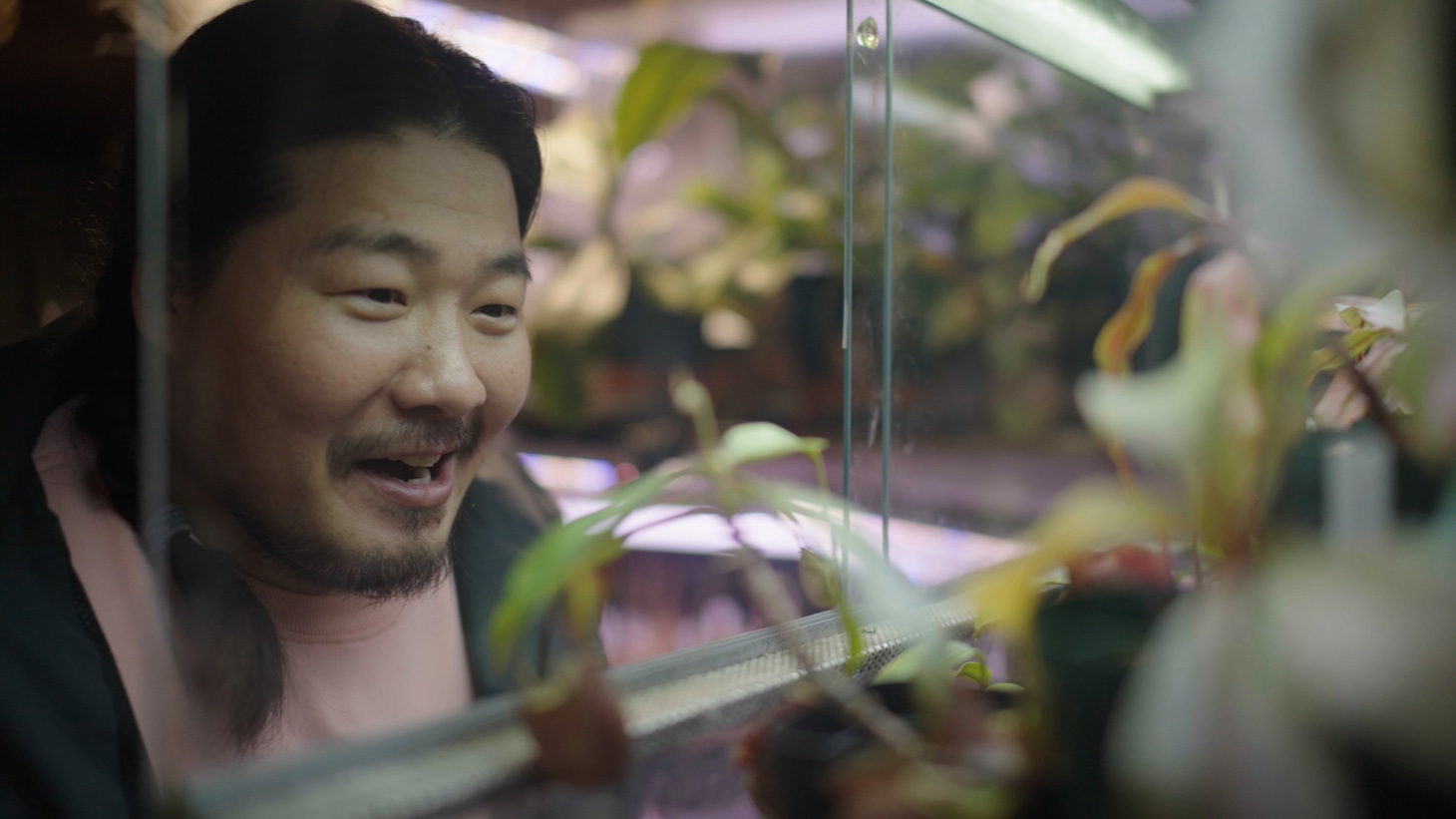 「変態植物倶楽部」場面写真