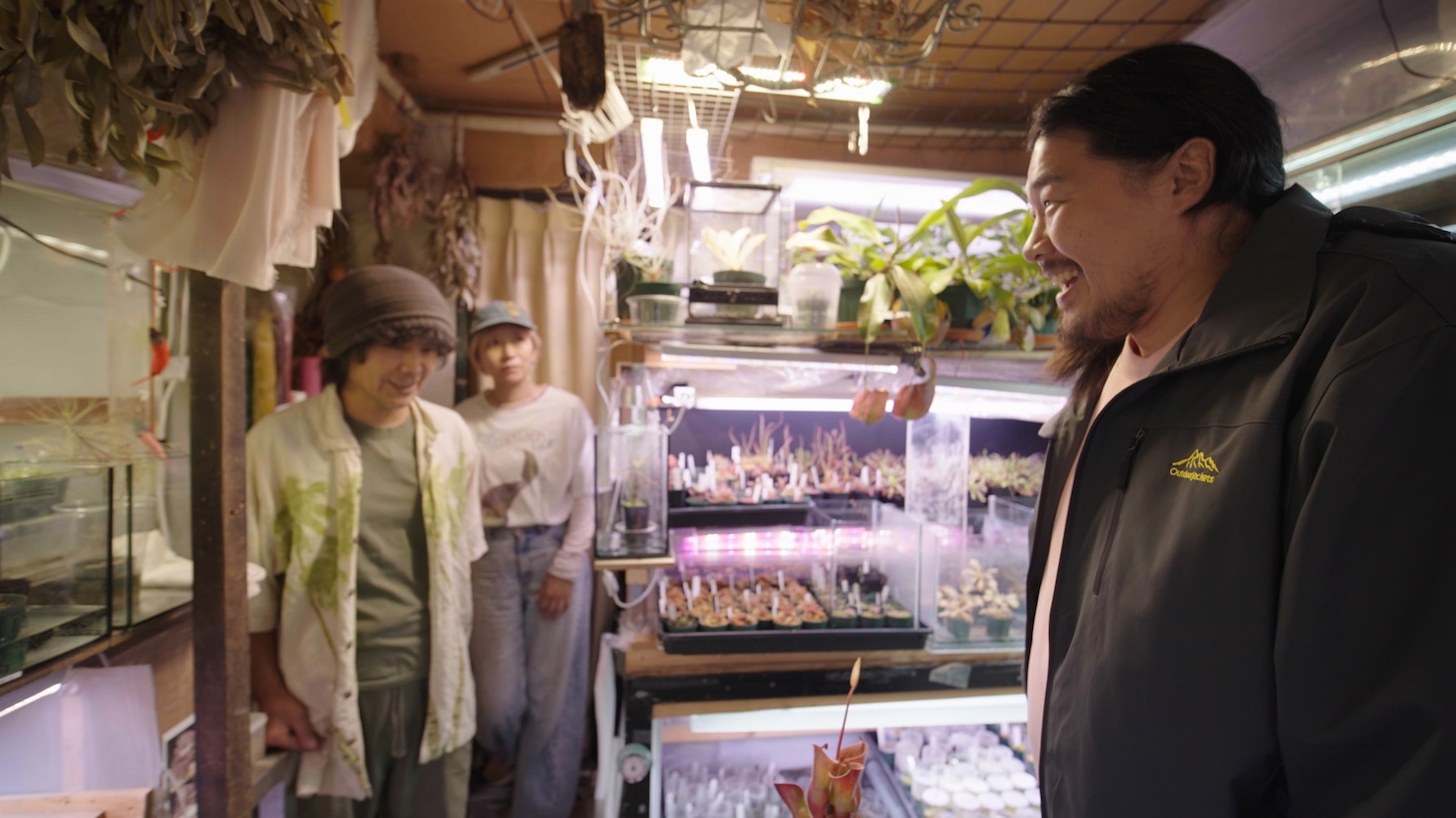 「変態植物倶楽部」場面写真