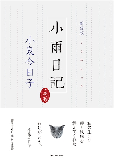 「新装版 小雨日記」書影