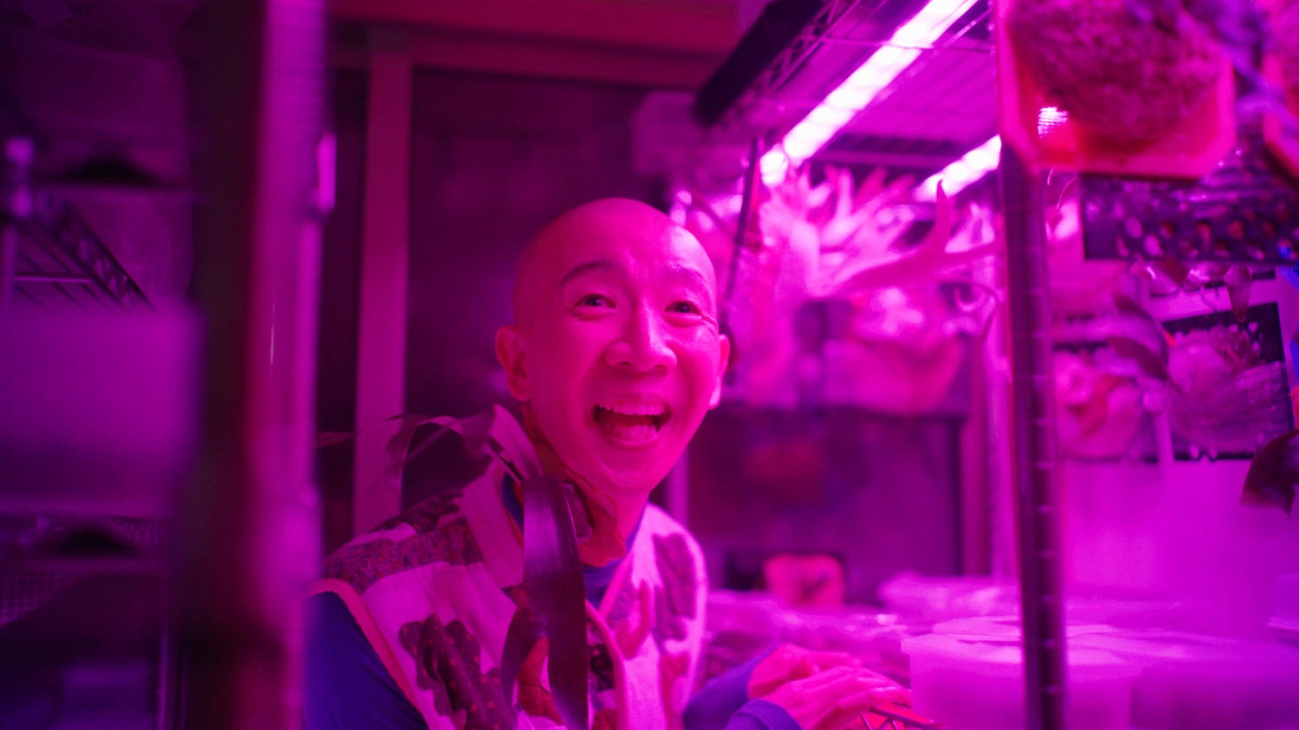 「変態植物倶楽部」4話の場面写真