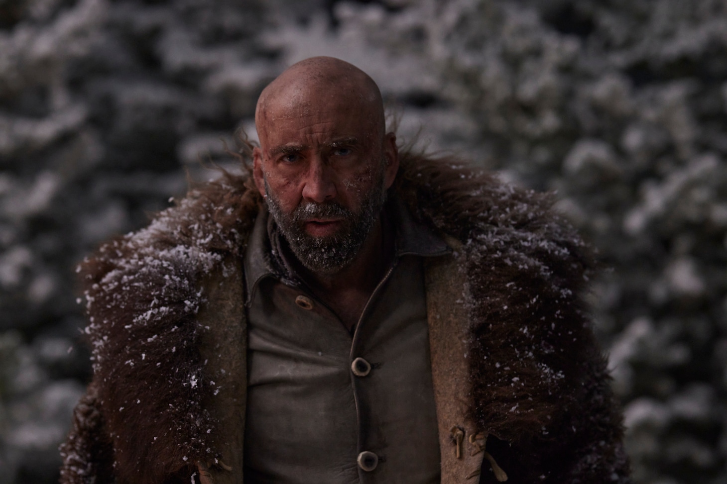 「ブッチャーズ・クロッシング —荒野の黙示録—」場面写真 ©Butcher's Crossing Film LLC 2022