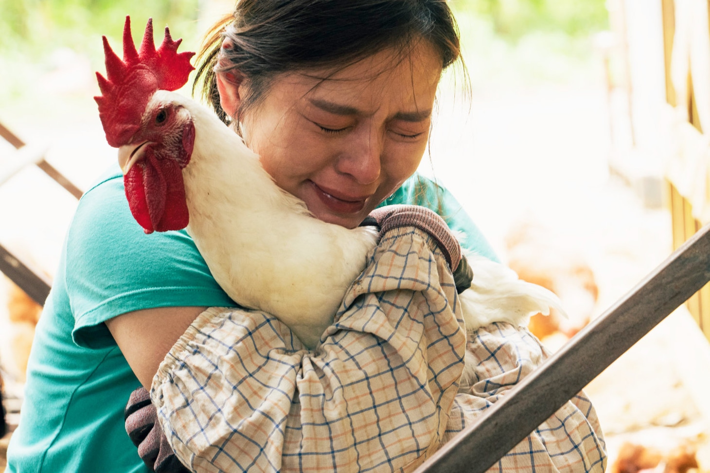 「サリー」場面写真