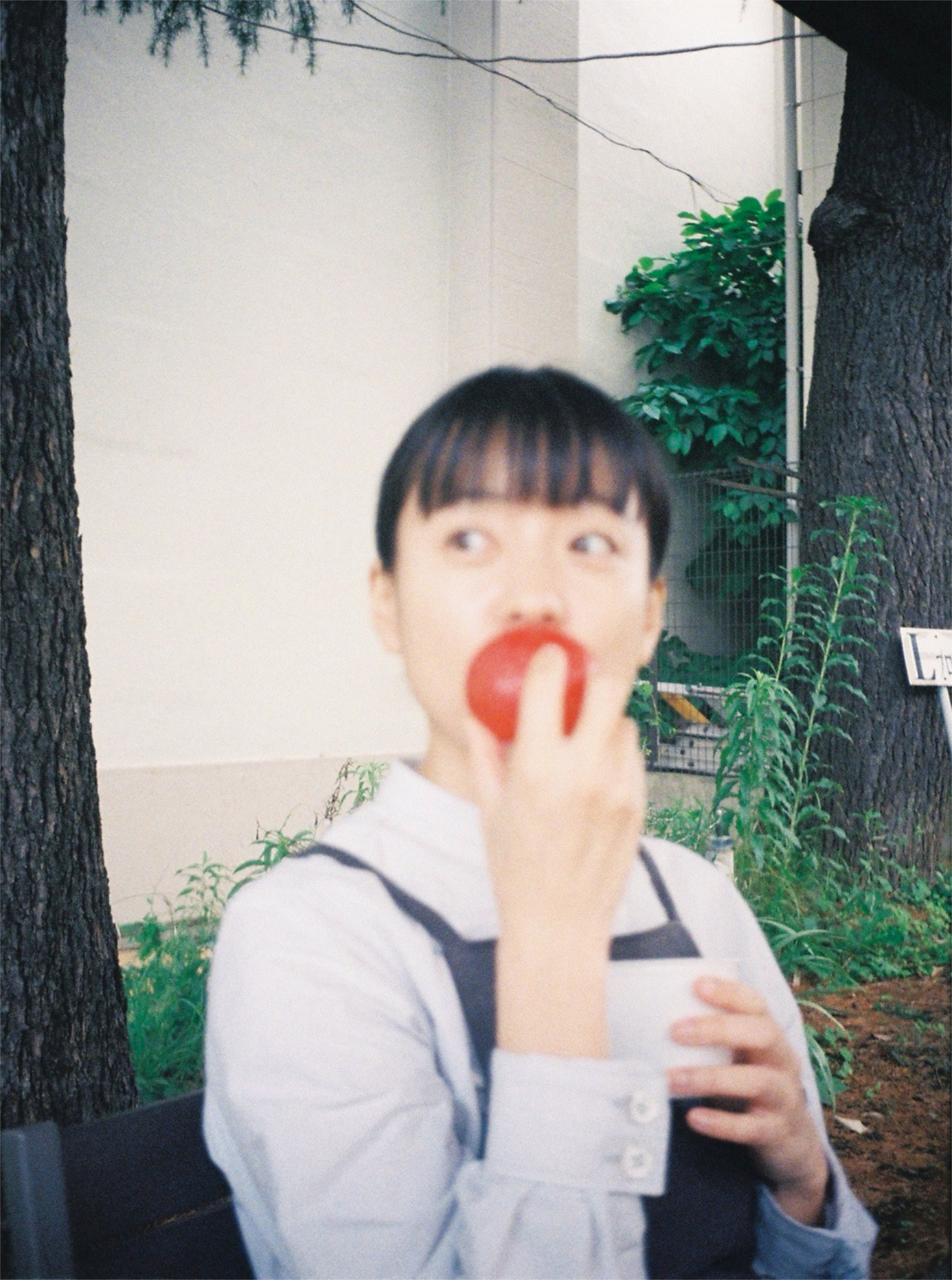 フォトブック「1、2、3 ハナ！」掲載カット