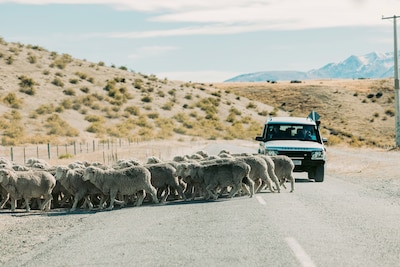 映画「楓」メイキング写真