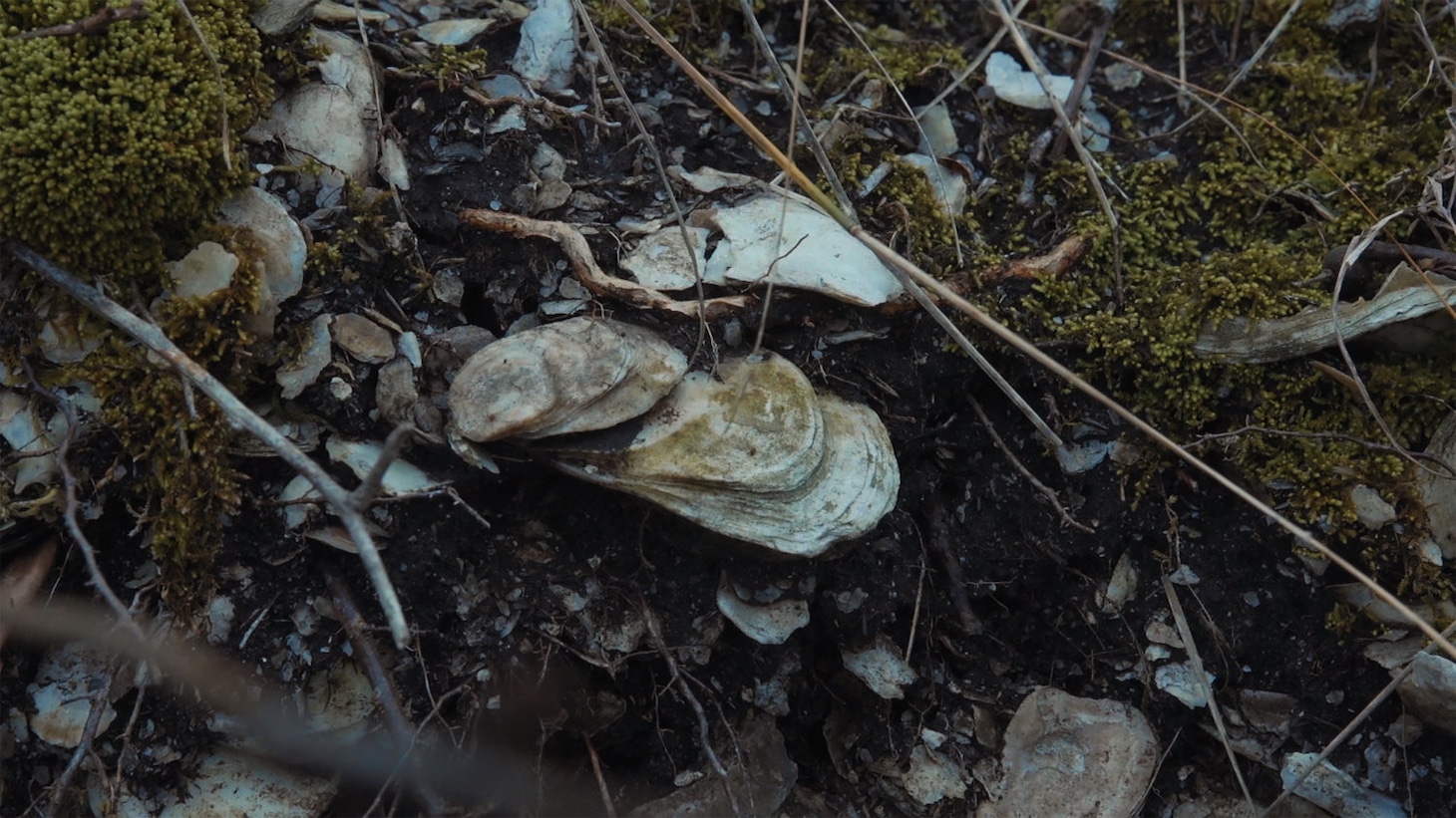 「水の中で息をする ―彼女でも彼でもなく―」場面写真