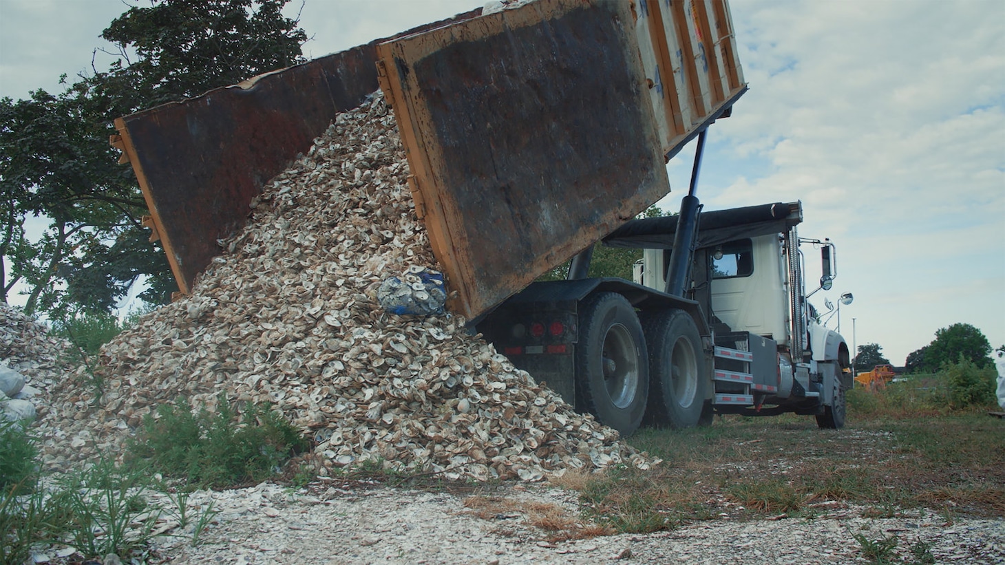 「水の中で息をする ―彼女でも彼でもなく―」場面写真