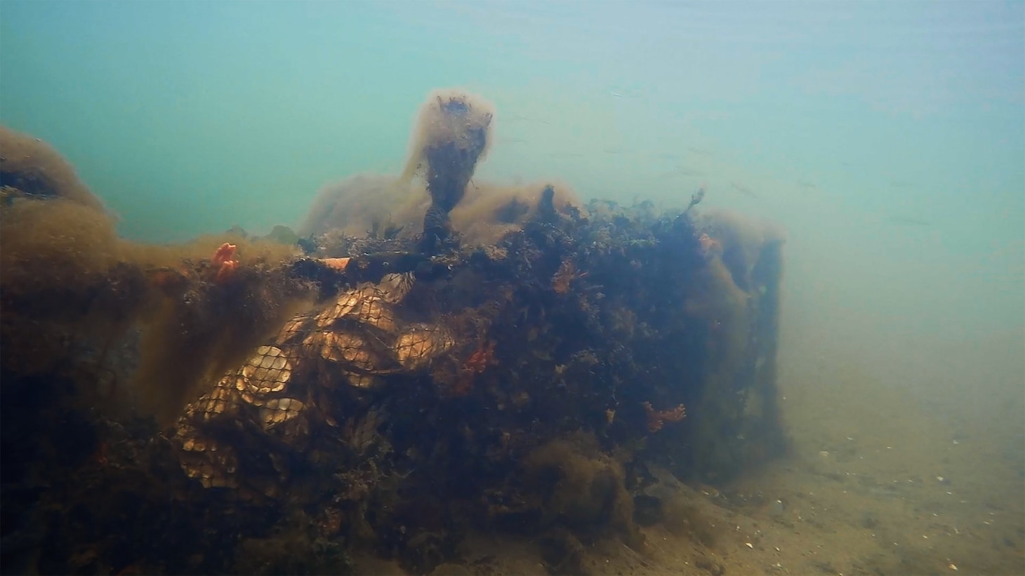 「水の中で息をする ―彼女でも彼でもなく―」場面写真