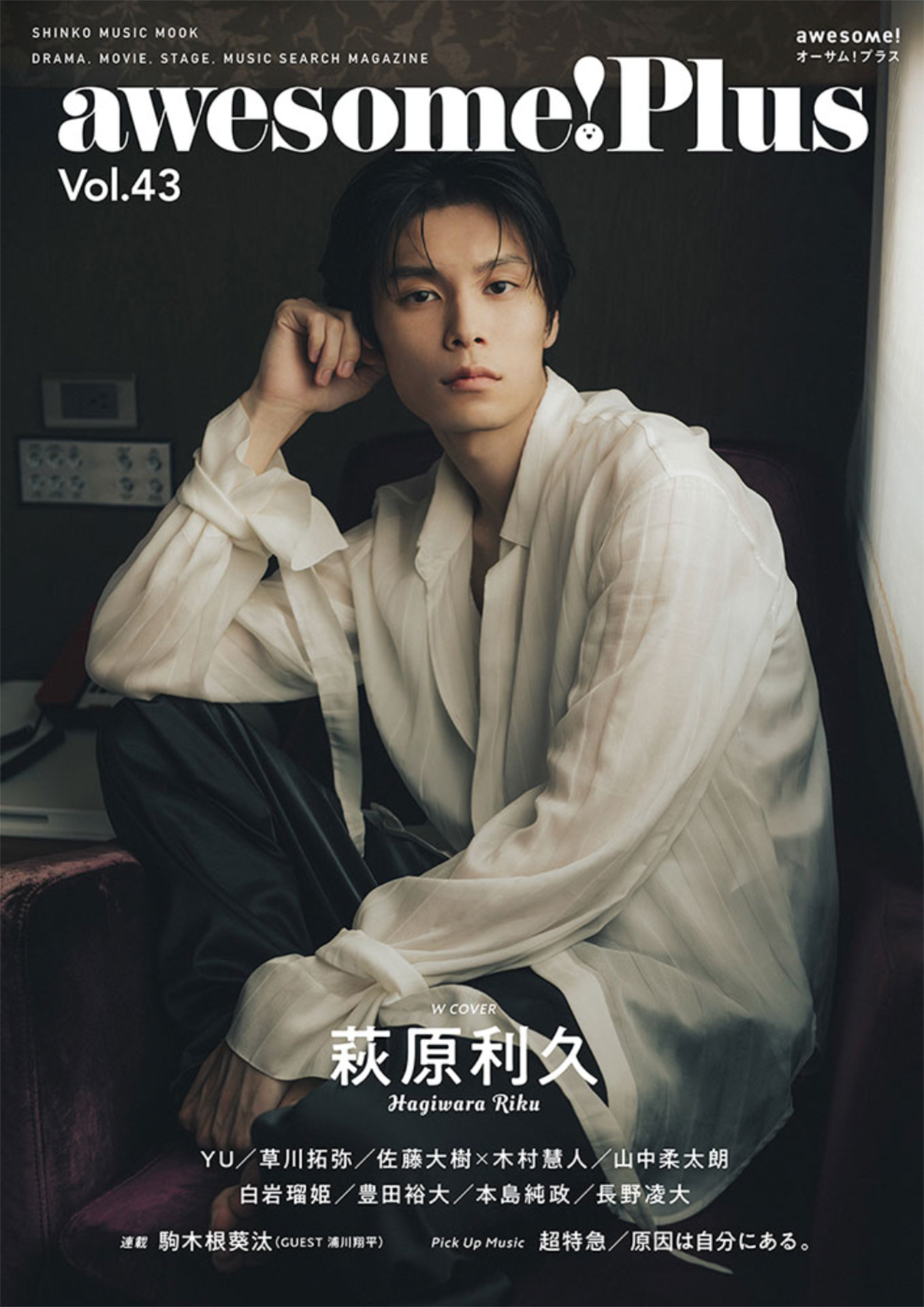 awesome! Plus Vol. 43 表紙