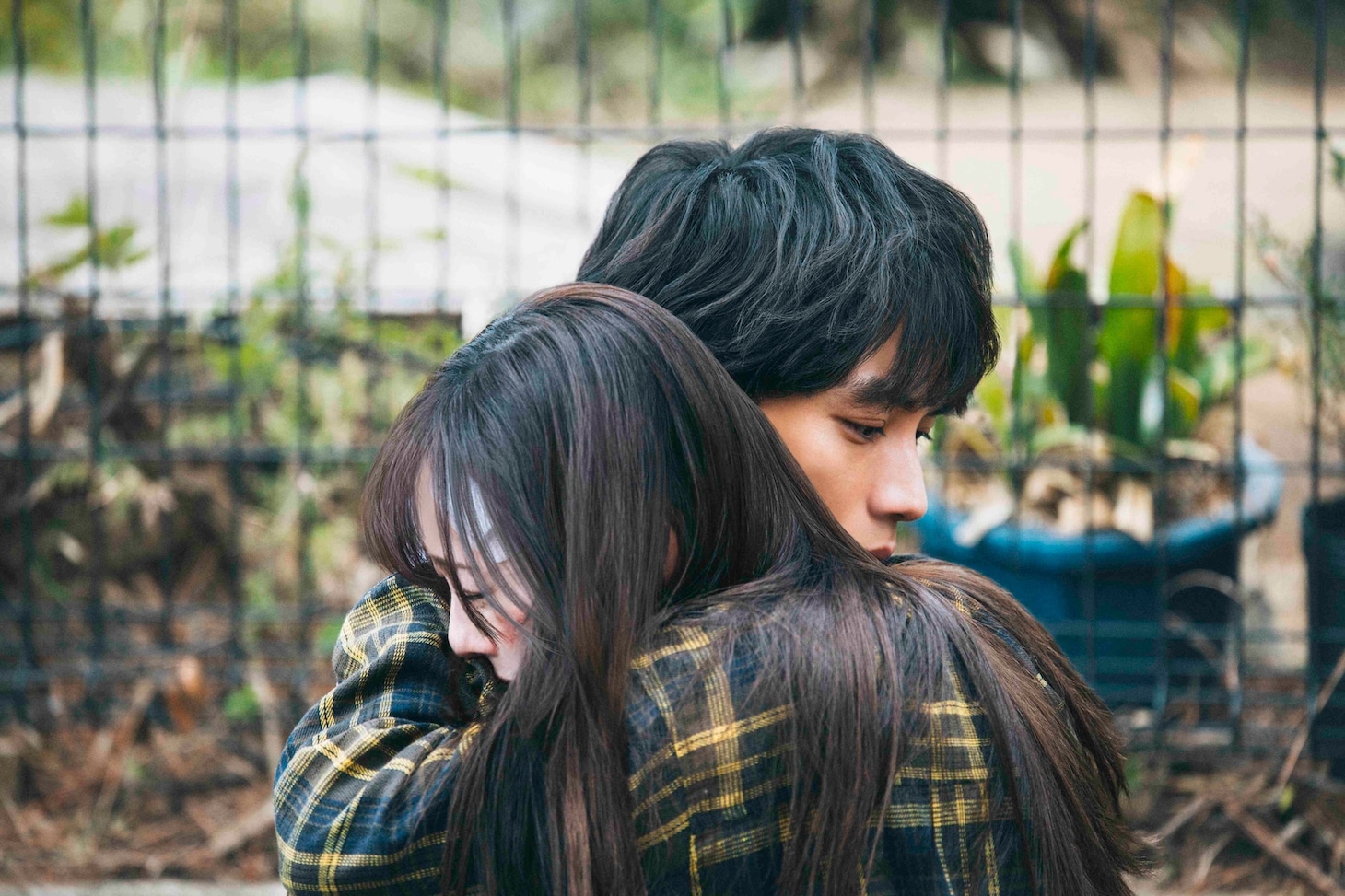 映画「楓」場面写真