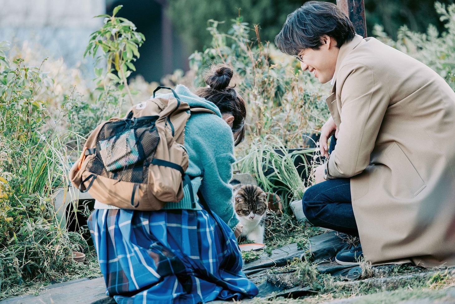 映画「楓」場面写真