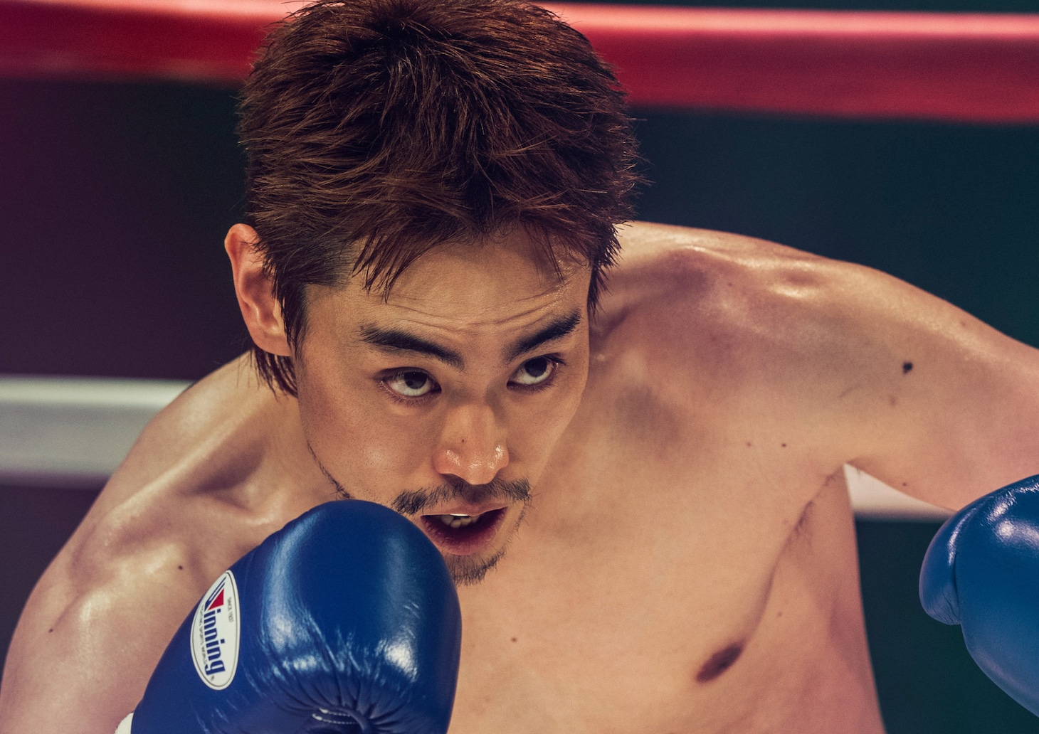 「人はなぜラブレターを書くのか」より、菅田将暉演じる川嶋勝重