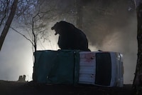 「ヒグマ!!」場面写真