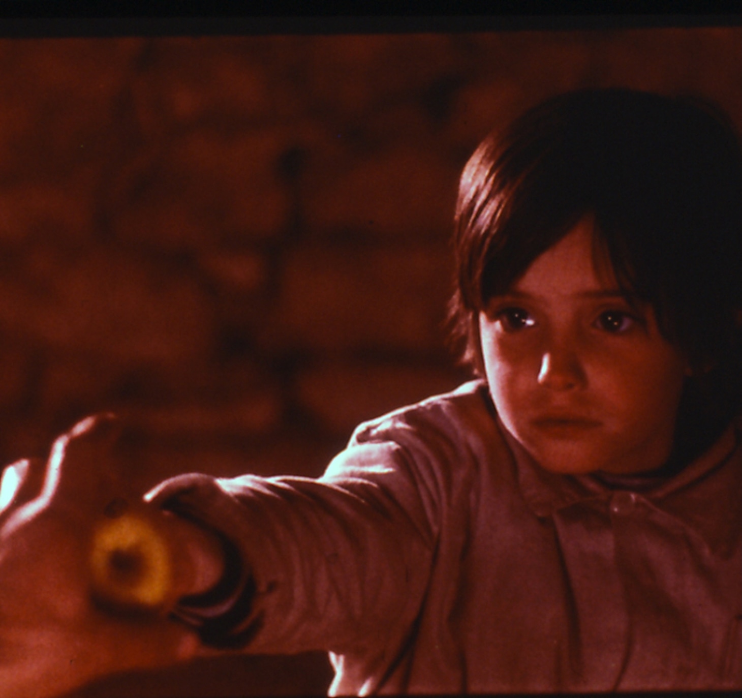 「ミツバチのささやき」場面写真 ©︎2005 Video Mercury Films S.A.