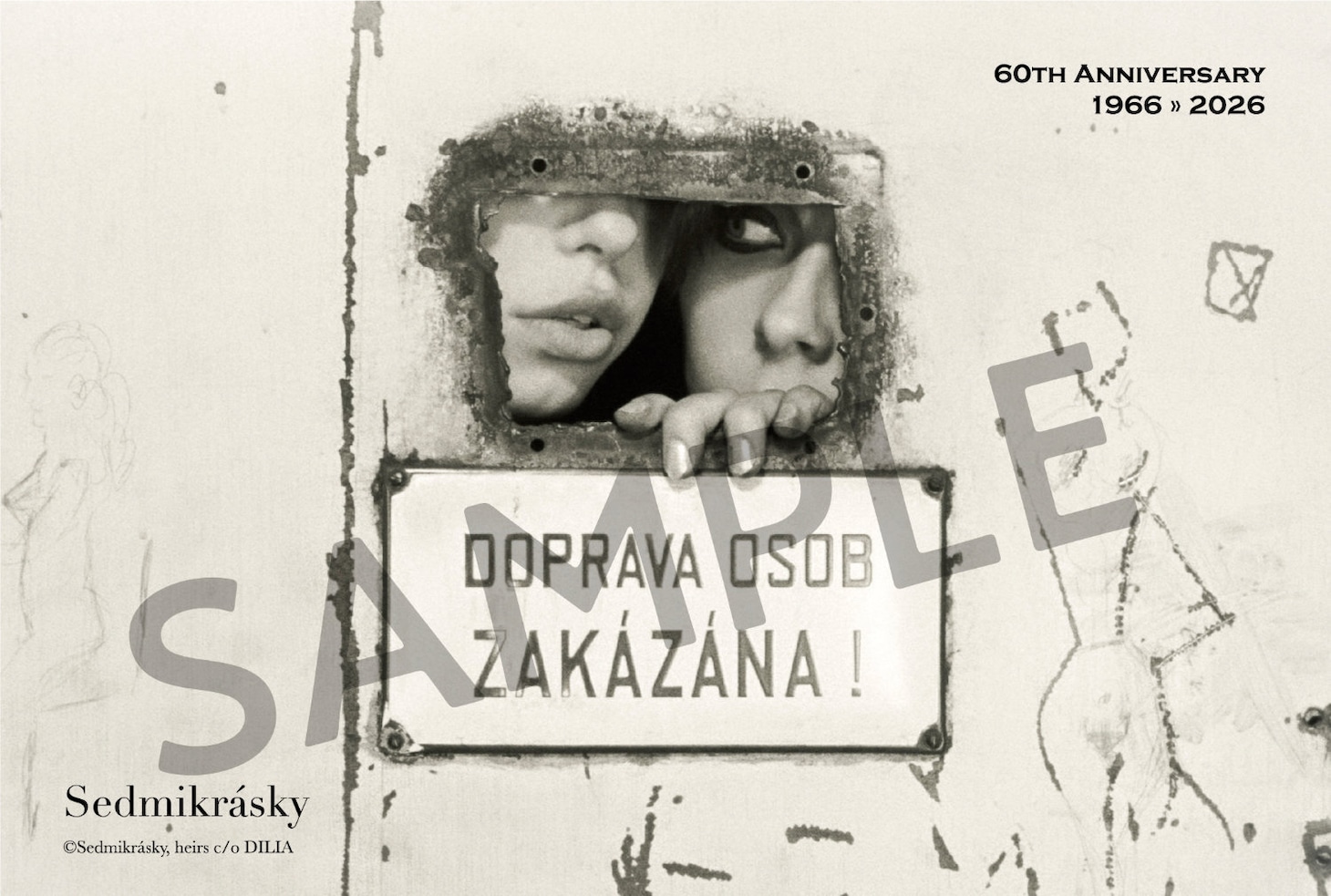 「ひなぎく 4Kレストア版」前売り券に付属するポストカードB