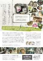 「ひなぎく 4Kレストア版」チラシ裏