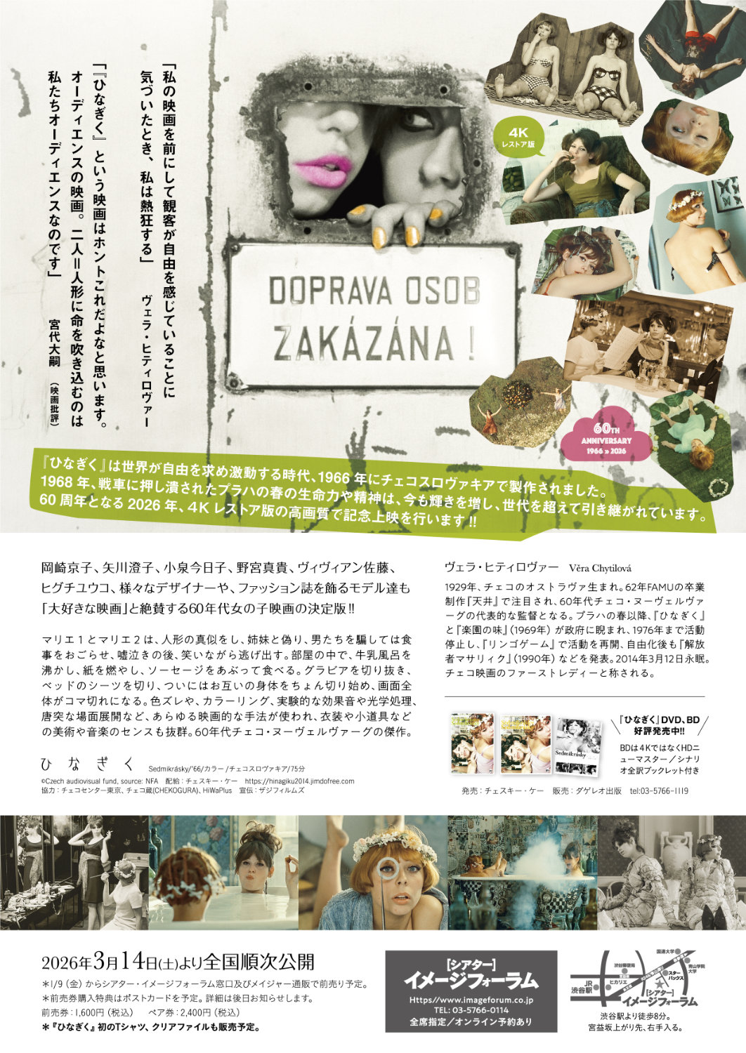 「ひなぎく 4Kレストア版」チラシ裏