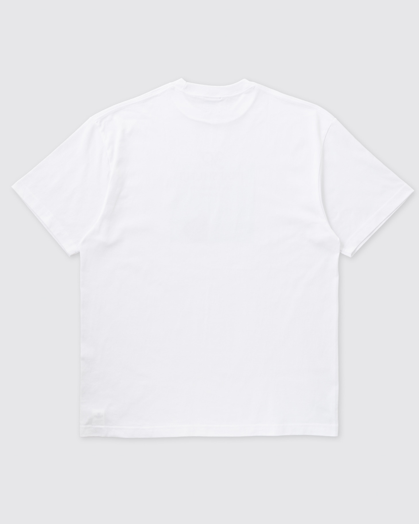 ＜IWAI SHUNJI The Film Works＞30th Anniversary Tシャツ WHITEの背面