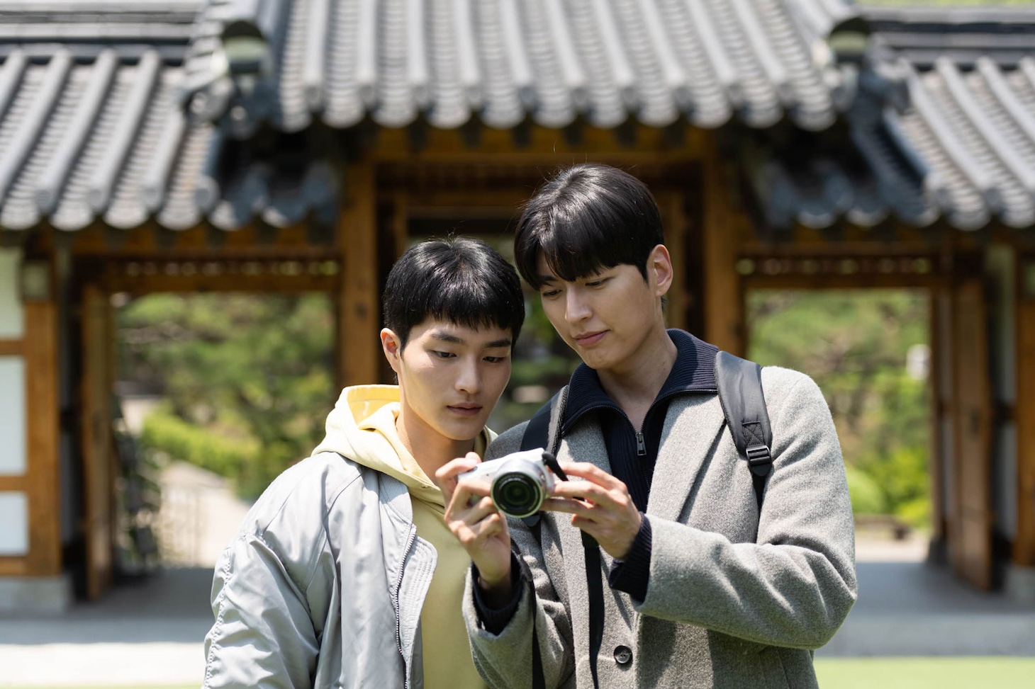 韓国映画「夢を見たと言って」場面写真