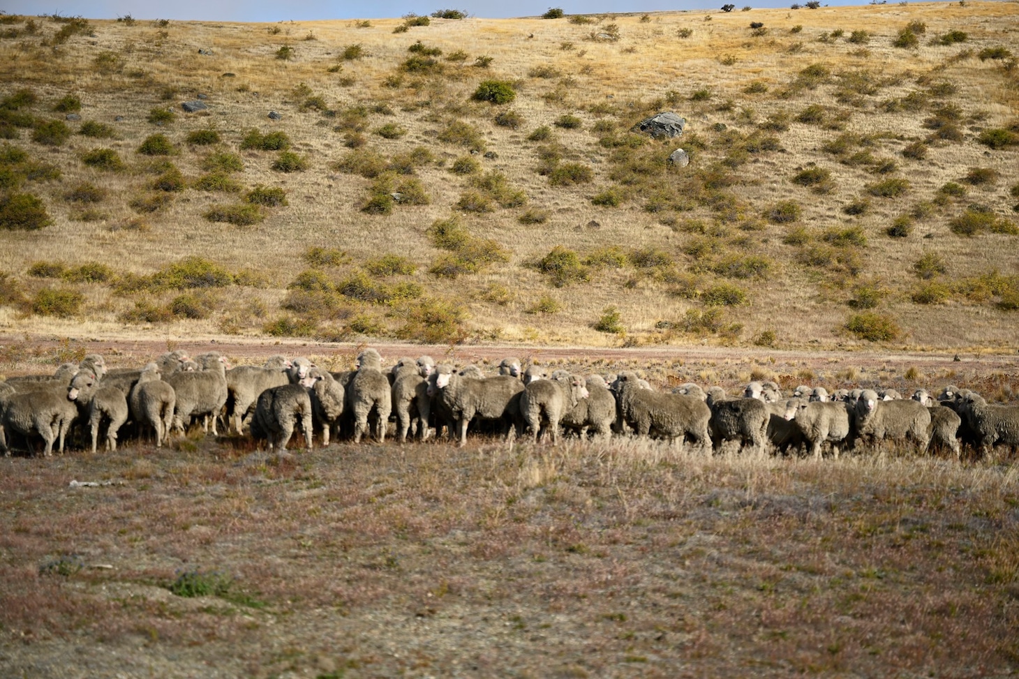 映画「楓」メイキング写真