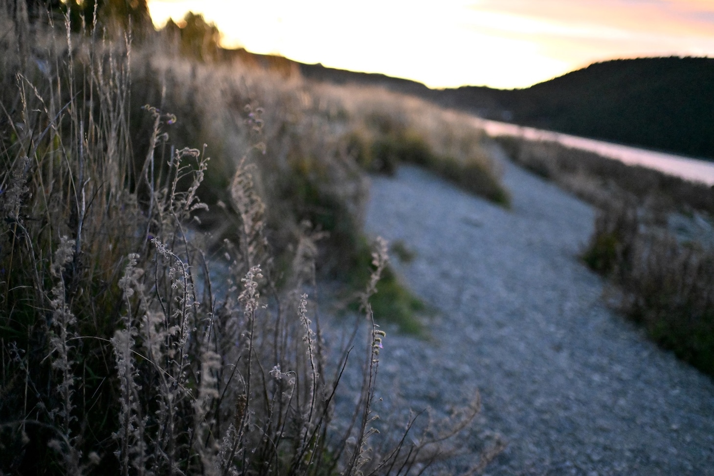 映画「楓」メイキング写真