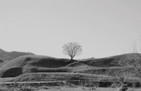 「道行き」新場面写真