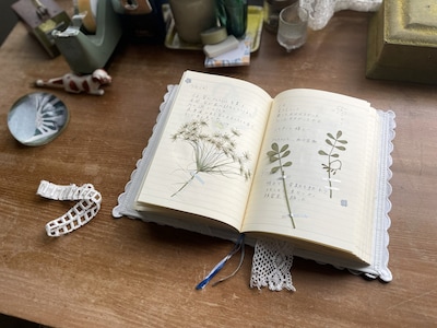 映画「白の花実」より、莉花の日記。演出部の羽蚋拓未が全ページびっしりと書き込んだ力作