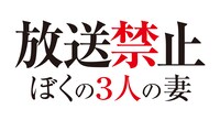 「放送禁止 ぼくの3人の妻」タイトルロゴ