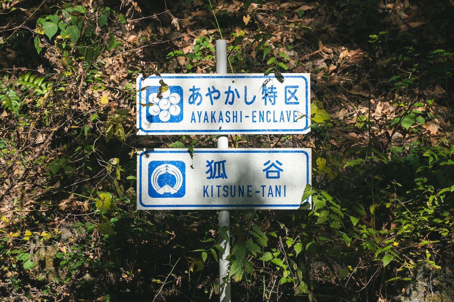 「鬼の花嫁」メイキング写真