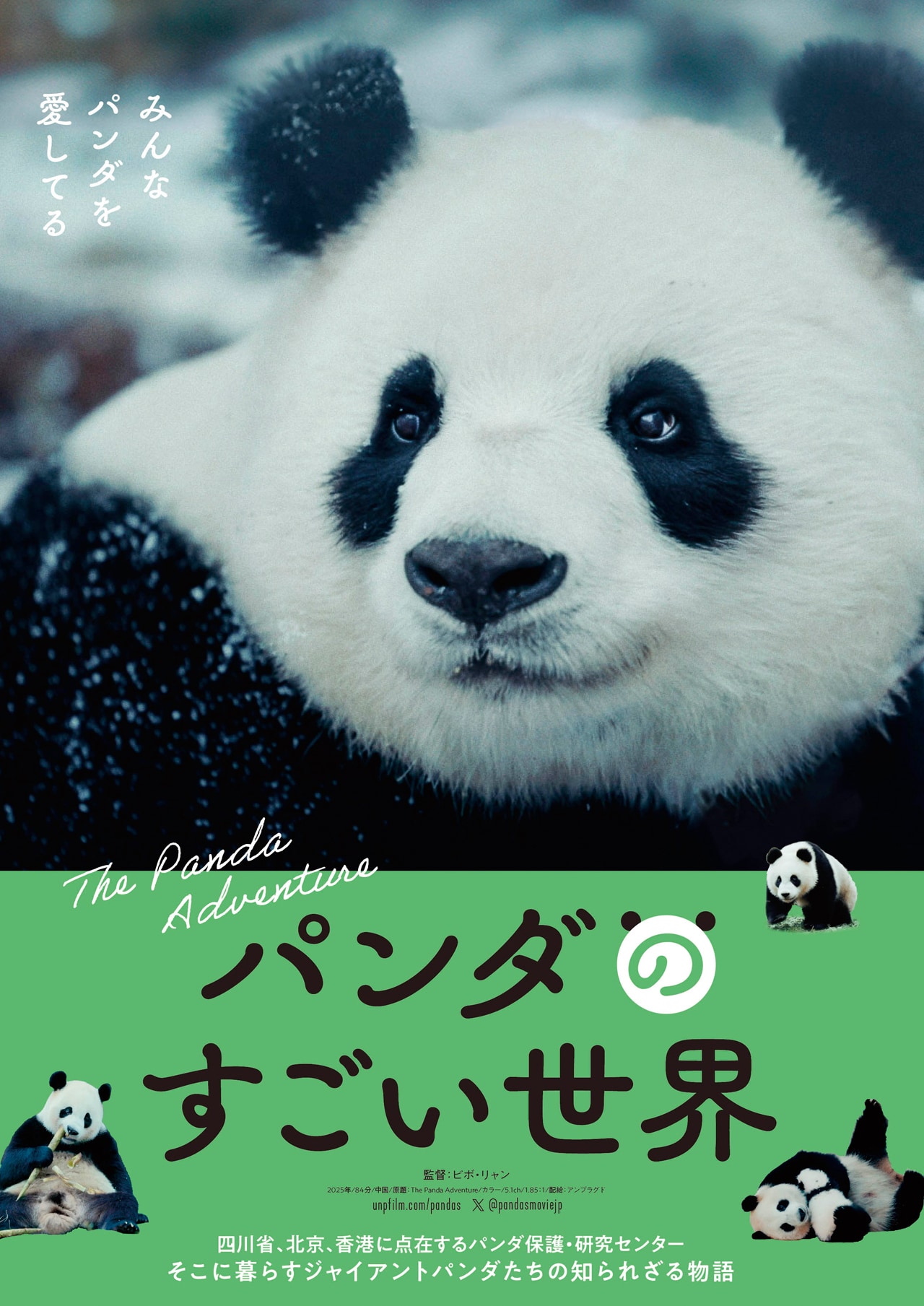 ふわふわ、コロコロ、のびのび…「パンダのすごい世界」パンダの魅力たっぷりティザー予告