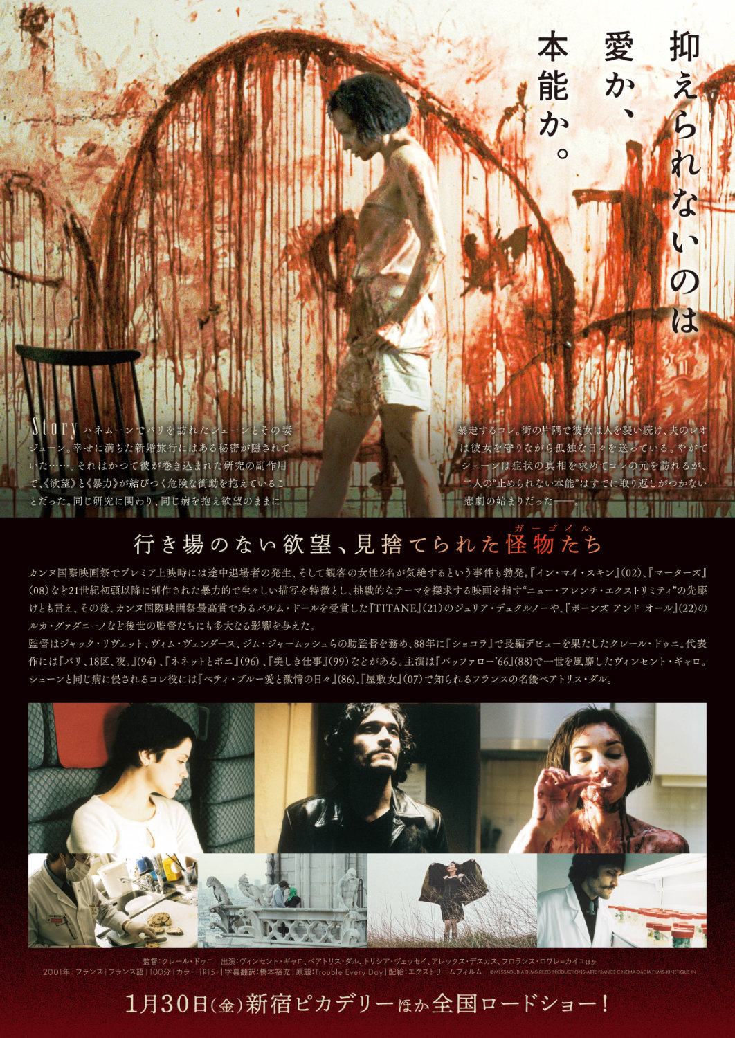 「ガーゴイル 4Kレストア版」チラシ裏