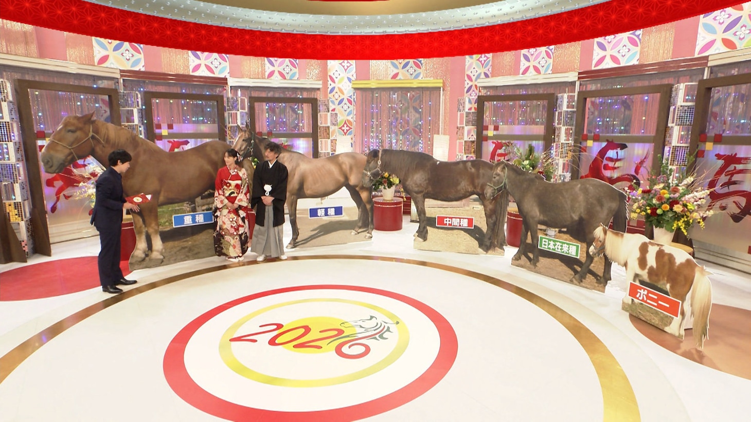 「ダーウィンが来た！ 大河コラボ！干支のウマ “相棒力”の秘密に迫る」より