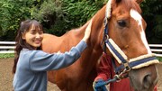 「ダーウィンが来た！ 大河コラボ！干支のウマ “相棒力”の秘密に迫る」より、馬と触れ合う菅井友香