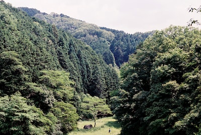 「おばけ」場面写真